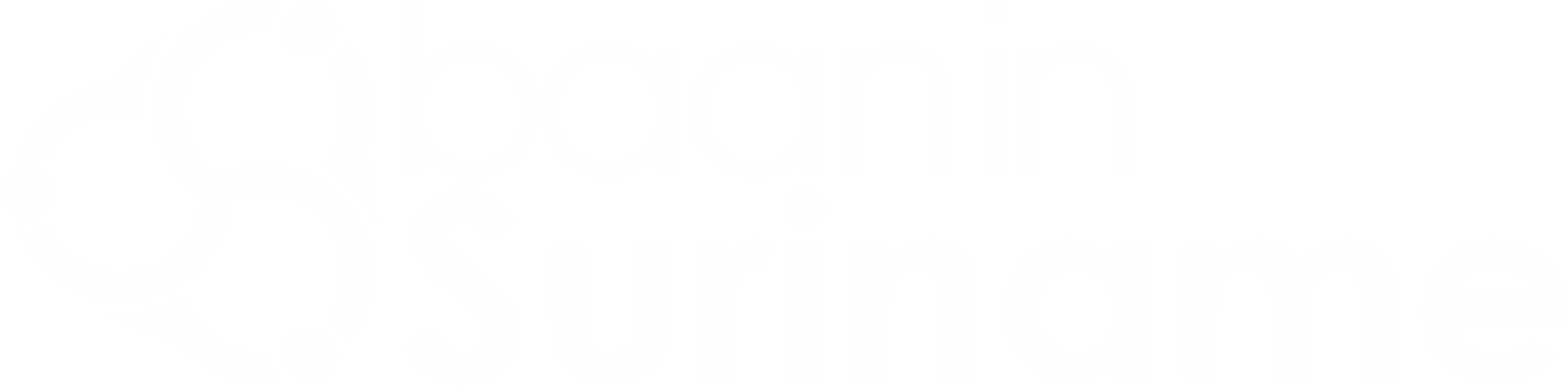 BaaninSurinameLogo